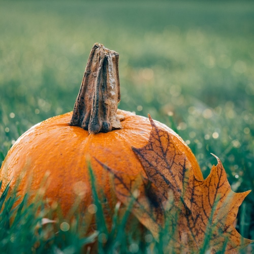 October – A month for celebrating abundance and relationships